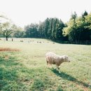 투데이목장 이미지