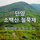 단양소백산가는길민박 | 🌸 단양 가볼만한곳 추천 | 2026 소백산 철쭉제 일정 + 작년 실후기 총정리