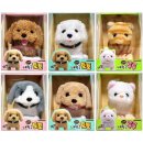 내친구동물병원 이미지