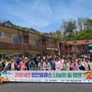 팔레스