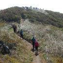 국립오서산자연휴양림 이미지