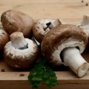 제철 집밥요리 이미지