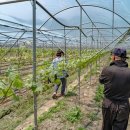 궁촌농장 이미지