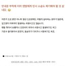 자전거도로 옆에 설치한 고양이집, 길고양이 피하려던 자전거...낙차 사고 이미지