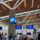 1508 | (망할)WS1508 웨스트젯 비즈니스, 캘거리에서 샌프란시스코로 &amp; 해외여행 보험 비행기 지연 후기