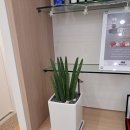 수영하임치과의원 이미지