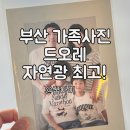 광 장 | [부산 가족사진 추천] 자연광 가득한 드오레에서 장수사진까지 한 번에! 찐 후기