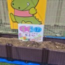 벌말로129번길 이미지