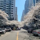 상남동297 이미지