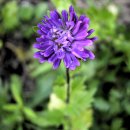 꽃소아청소년과의원 이미지