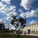 씨유 여수중앙하이츠점 | 10월 11월 일상 모음 기록