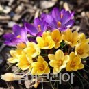 시즌호텔 이미지