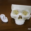 티앤알바이오팹 이미지