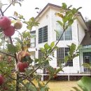 엄둔계곡 가자화이트 이미지