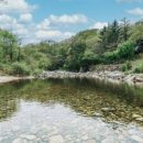 로베펜션 이미지