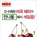 체리피피