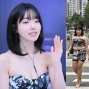 세연 이미지