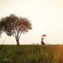 풀스토리6 이미지