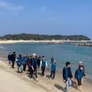 구산해수욕장 미디어투데이