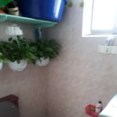 일류공인중개사사무소 이미지