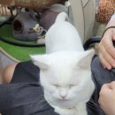 예뻐지냥 이미지