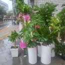 피제이커머스