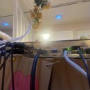 군포시 소재 커피전문점에 이백만화소(2M) 카메라 4대와 녹화기, CCTV System 설치 후기