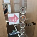 [시흥 목감 연성삼겹살센터] 물왕저수지 와인 솥뚜껑 삼겹살 센터 내돈내산 후기