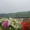 삼훈행복농원 이미지