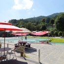 와바(Waba) 이미지