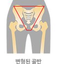 모든일력 Daum카페