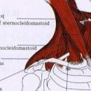 경희무교로한의원 이미지