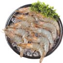 궁평리어촌체험휴양마을 | [9월의 바다여행] 제철 수산물 새우·한치, 어촌체험 마을·해양생물·등대·무인도 총정리 🌊