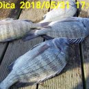 해성좌대 이미지