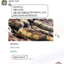 아빠의 바게트 초코바게트 빵켓팅 예약 성공 내돈내산 픽업 후기