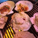 삼바리 이미지