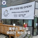 강릉에어컨청소 전문 에어세이프 °˖✧ 룰루스 유천점 작업후기