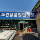 개꿈꾸는 고양이 이미지