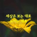 행운 이미지