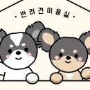 리앤도그 이미지