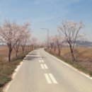 금광오산로 이미지