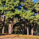 마망펜션 | 정동진펜션 마망펜션 다녀온 후기 :) 조용한 곳 찾는다면 여기