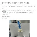 스폰지아트미술학원