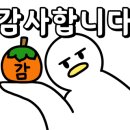 라운드투안경 울산천곡점 이미지