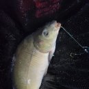 산유낚시터 이미지