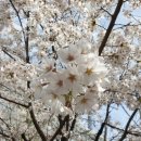 대화메디피아(주) 이미지