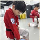 품 태권도장 | 당진태권도장 젊은 기운이 넘치는 품태권도장 후기