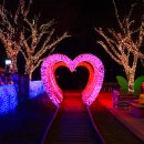 싱그러운청도로(봄) 이미지