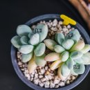 라도금속