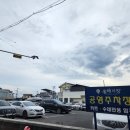 포항강도다리협동조합 | 포항 횟집 제대로 먹고 온 흥해시장 22번횟집 2호점 후기